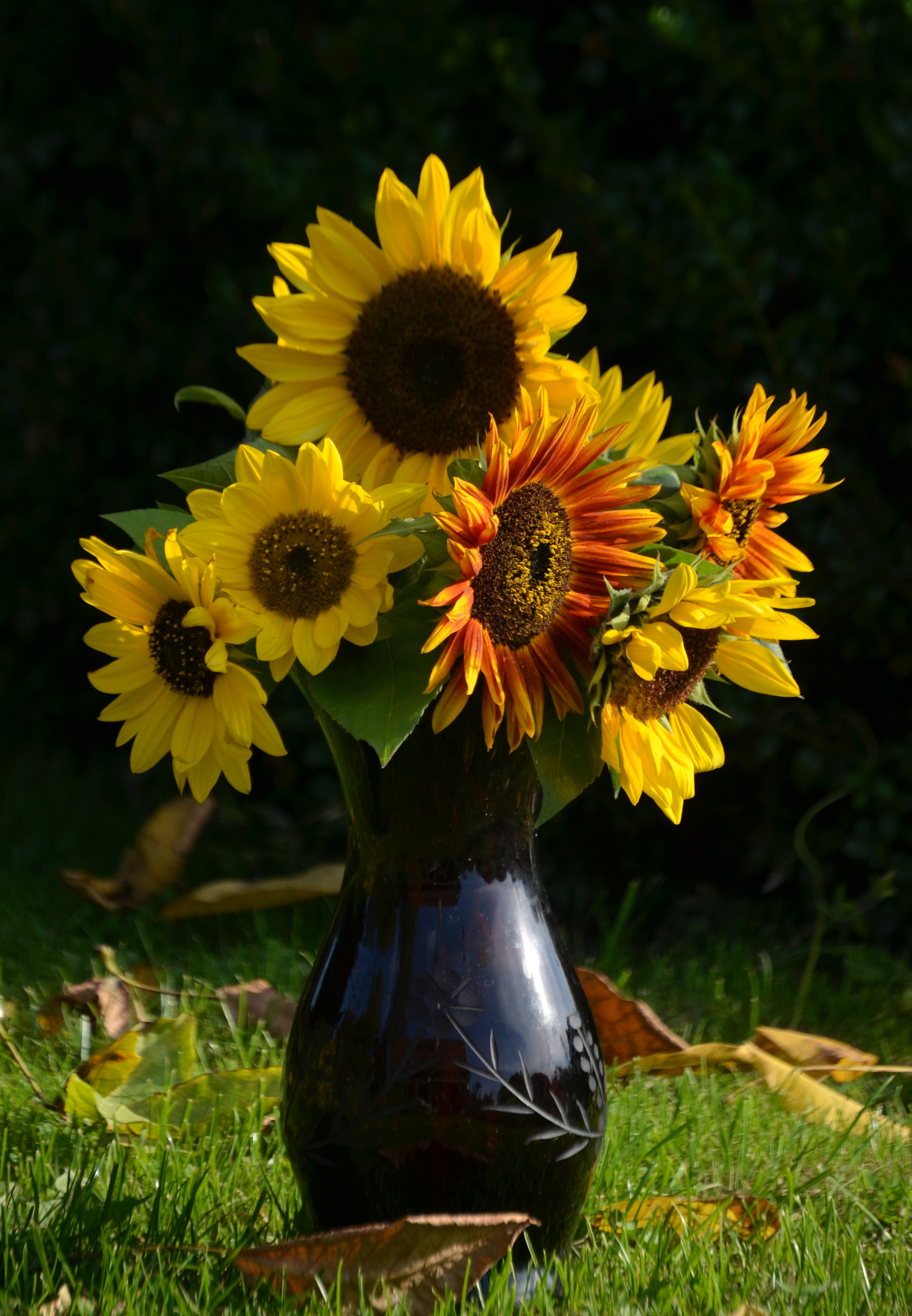 DSC_1460 – kopie
